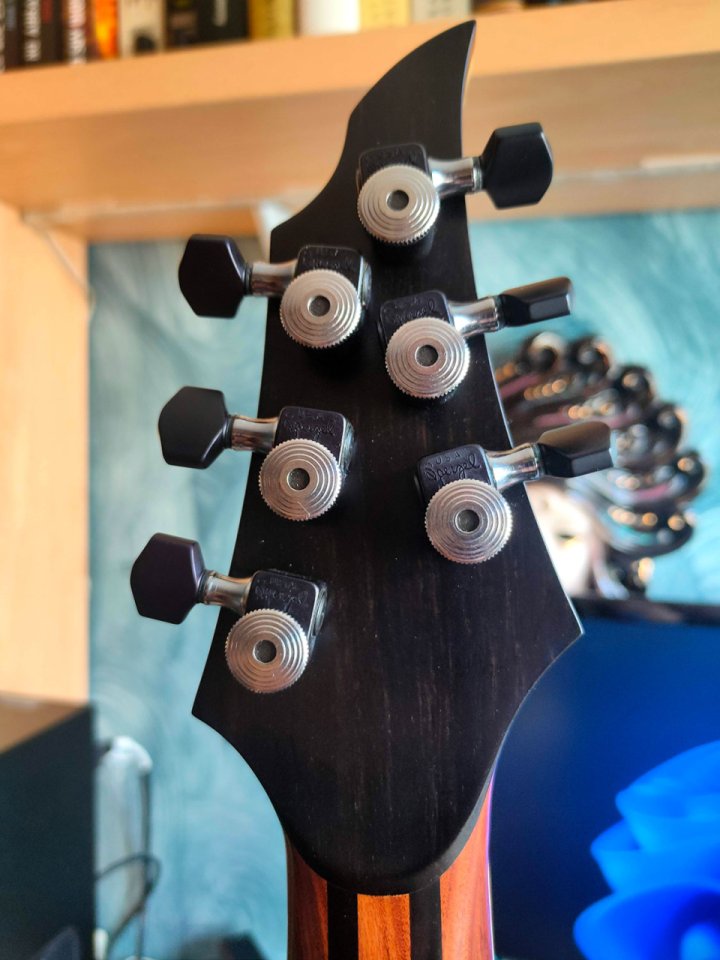 Rusti Paradox Ziricote (superstrato de boutique)