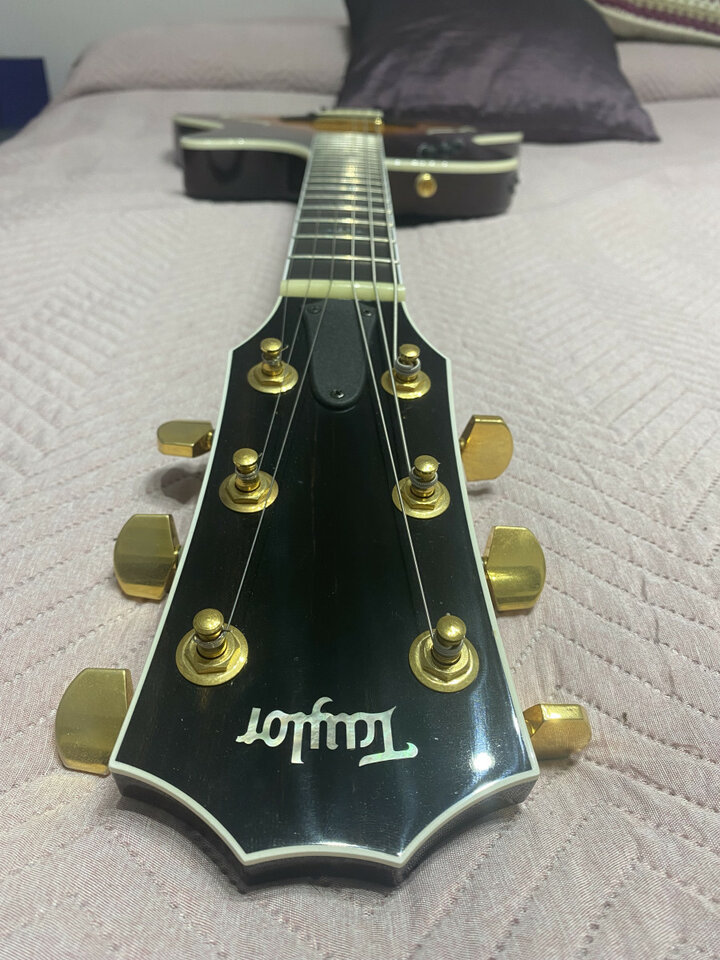 Taylor T5 Custom c1