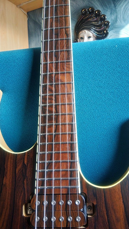 Rusti Paradox Ziricote (superstrato de boutique)