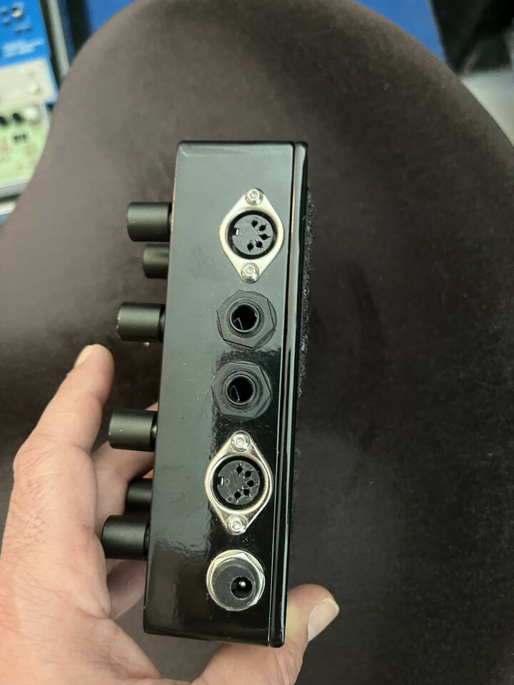 Pigtronix echolution 2