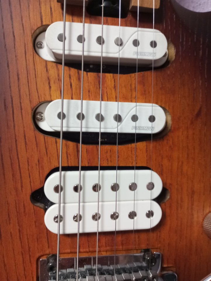 Cort triality x700 como nueva de segunda mano · Foto 9 de 10 · Bizkaia · 750 €