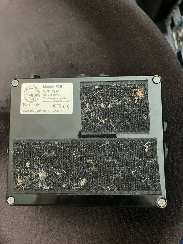 Pigtronix echolution 2