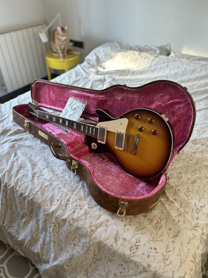 Tokai LS196 Premium Series Reborn Old (2019)