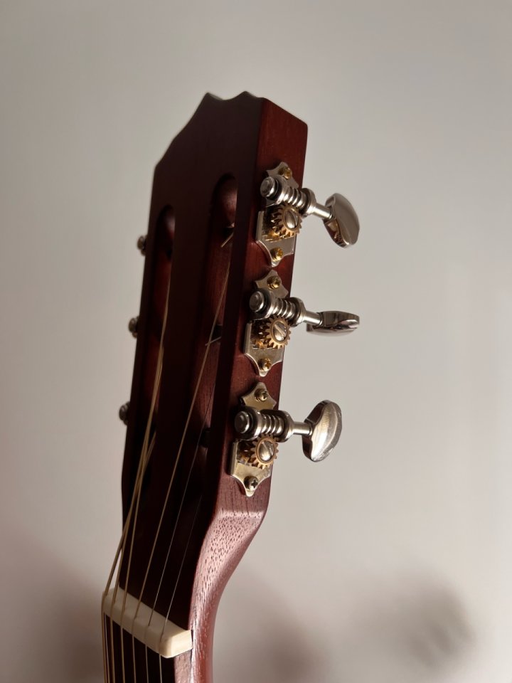 Raimundo MM200E acústica amplificada (Fishman) de segunda mano · Foto 4 de 10 · Alicante · 420 €