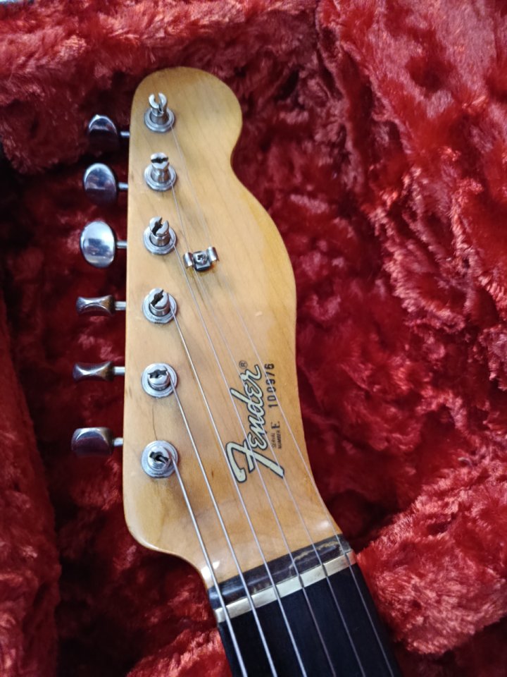 Guitarra eléctrica Fender Bullet Americana 1981 de segunda mano · Foto 4 de 10 · Alicante · 800 €