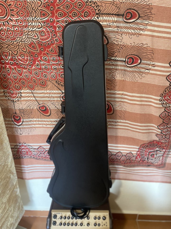 Estuche SKB de segunda mano · Foto 1 de 6 · Madrid · 100 €