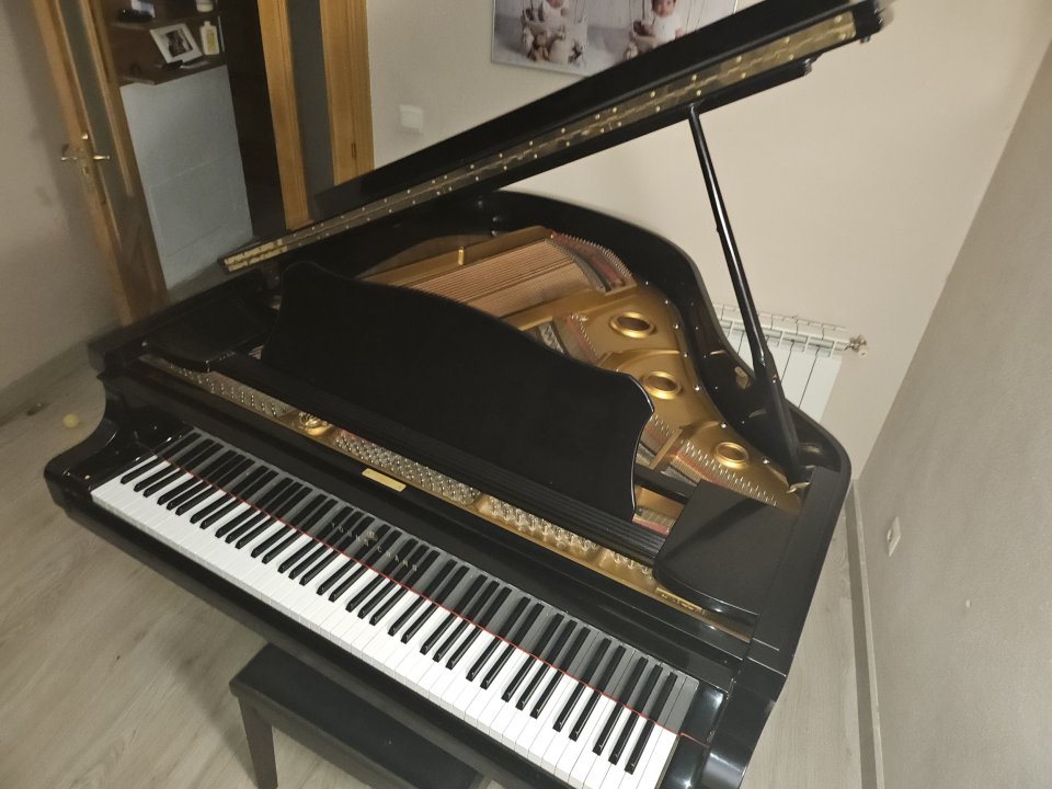 Piano cola Young Chang de segunda mano · Foto 3 de 7 · Toledo · 4800 €