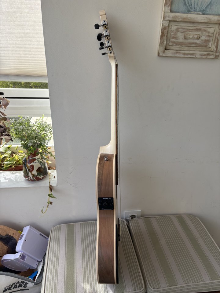 Manuel Rodríguez Ecología Samba Plano Truss Rod guitarra clásica