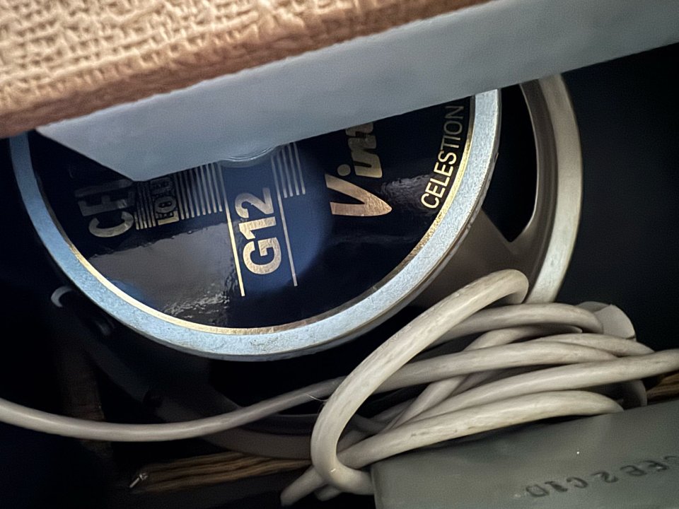 Blues junior ed especial