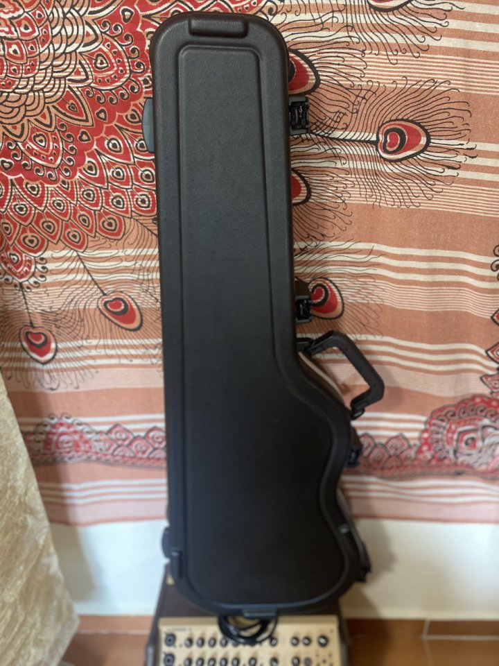 Estuche SKB de segunda mano · Foto 2 de 6 · Madrid · 100 €