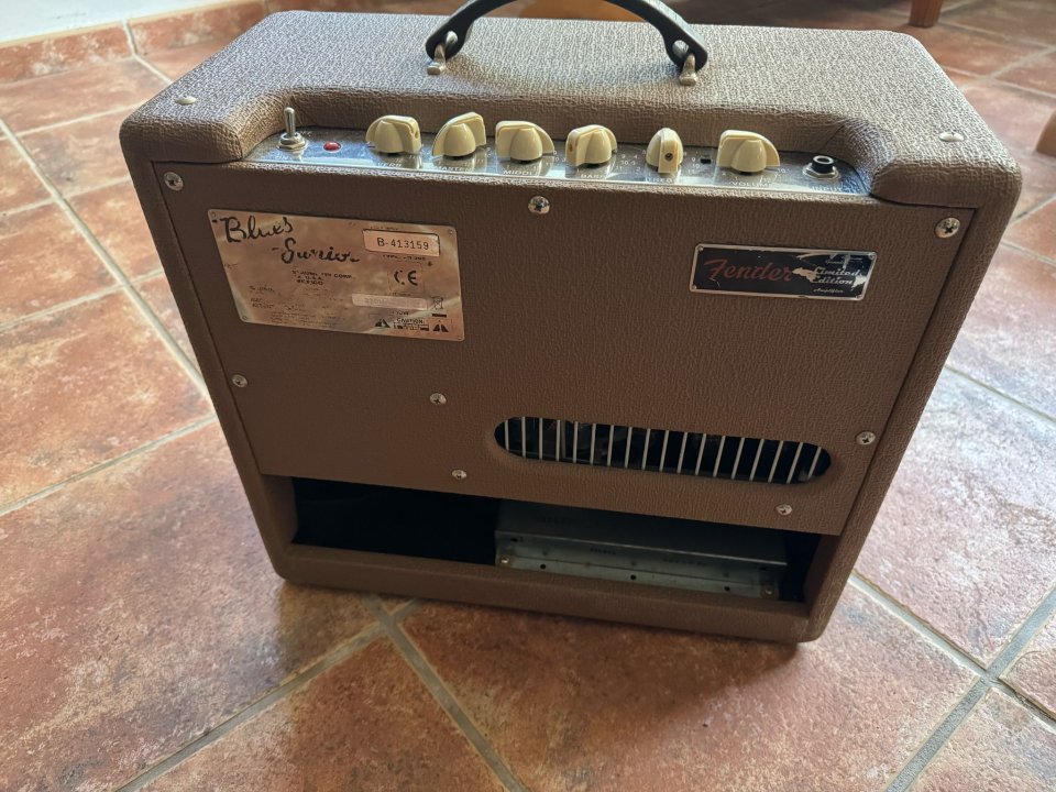 Blues junior ed especial