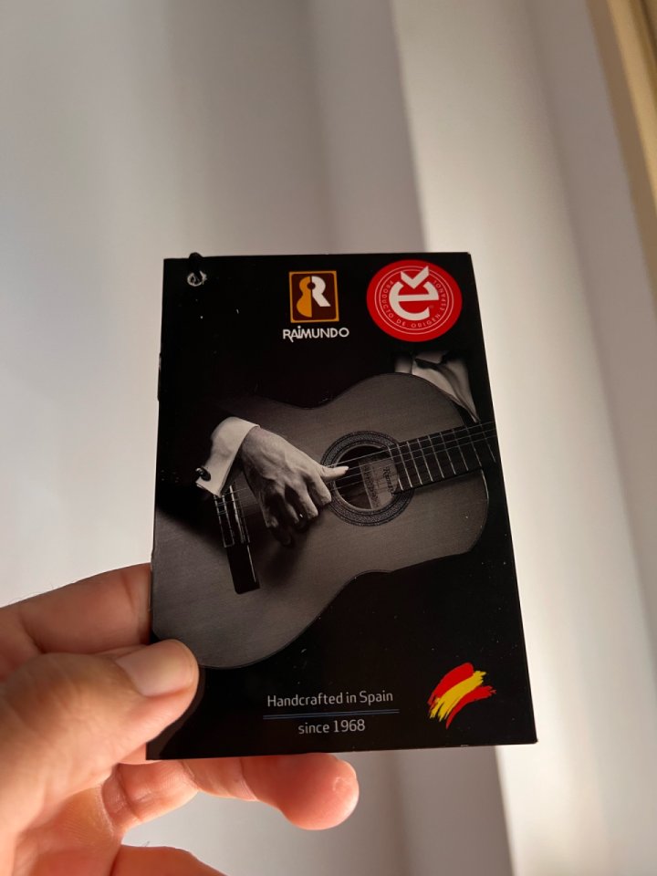 Raimundo MM200E acústica amplificada (Fishman) de segunda mano · Foto 8 de 10 · Alicante · 420 €