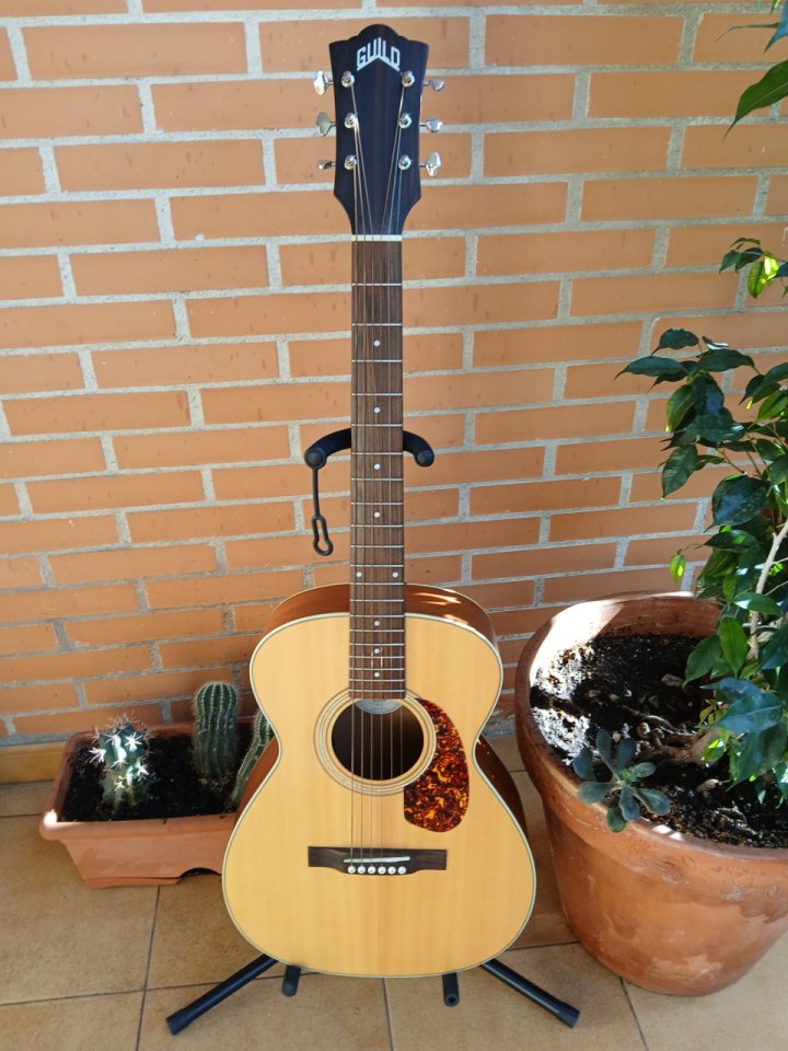 Guild M240E + Estuche EK de segunda mano · Foto 1 de 10 · Valencia · 350 €