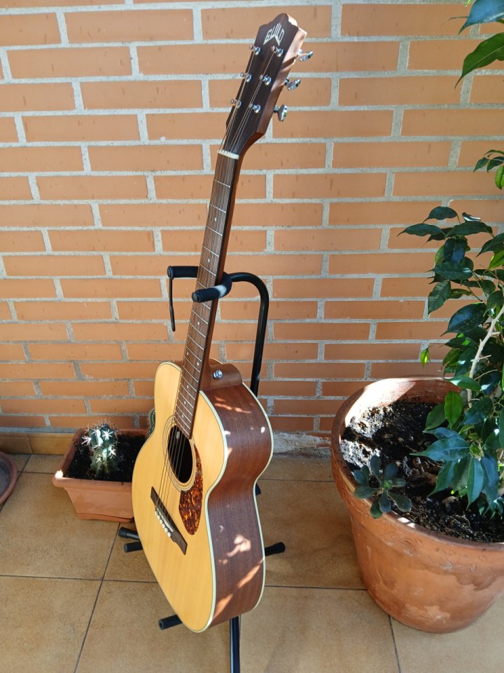 Guild M240E + Estuche EK de segunda mano · Foto 2 de 10 · Valencia · 350 €