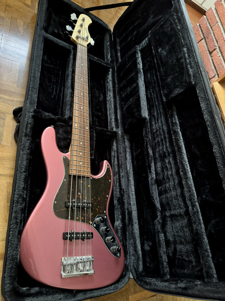 Sadowsky Metroline 5