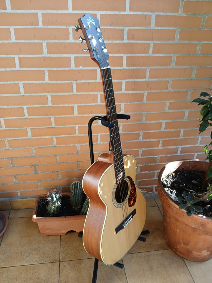 Guild M240E + Estuche EK de segunda mano · Foto 3 de 10 · Valencia · 350 €