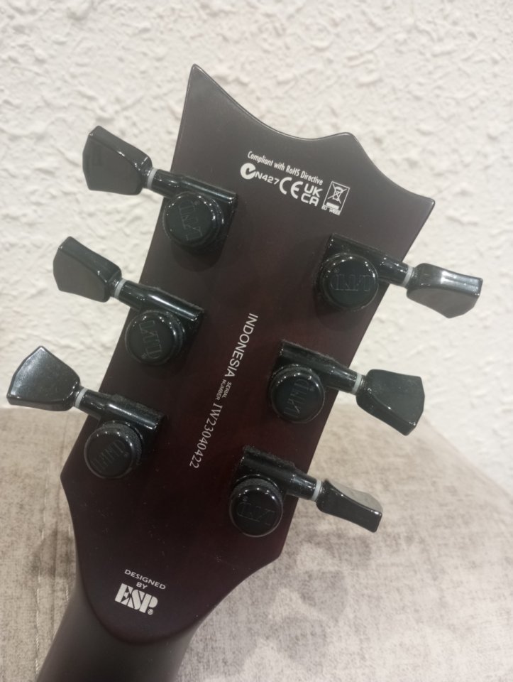 Ltd esp ec 1001 eye Tiger de segunda mano · Foto 4 de 10 · Bizkaia · 850 €