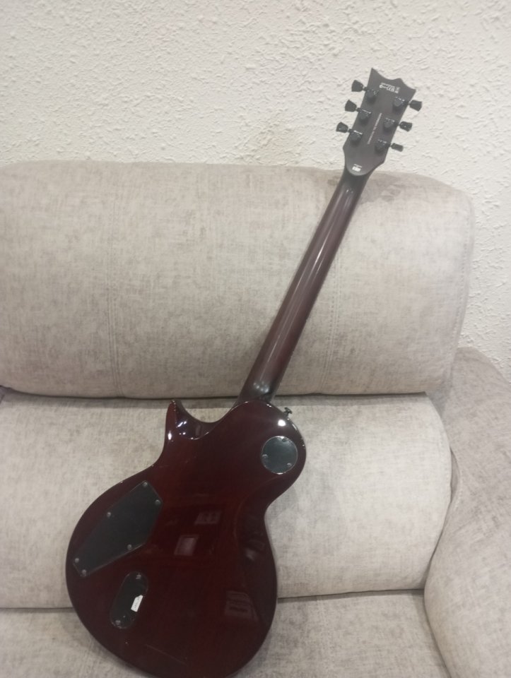 Ltd esp ec 1001 eye Tiger de segunda mano · Foto 5 de 10 · Bizkaia · 850 €