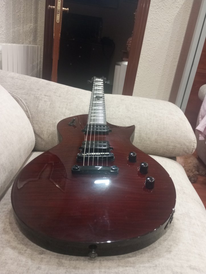 Ltd esp ec 1001 eye Tiger de segunda mano · Foto 6 de 10 · Bizkaia · 850 €