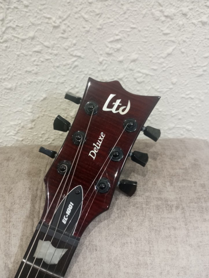 Ltd esp ec 1001 eye Tiger de segunda mano · Foto 7 de 10 · Bizkaia · 850 €