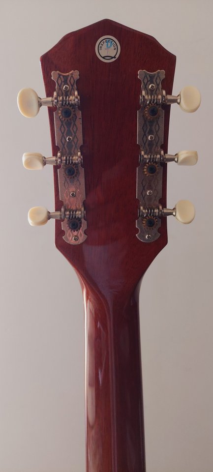 Guitarra Fender Ron Emory Loyalty SB