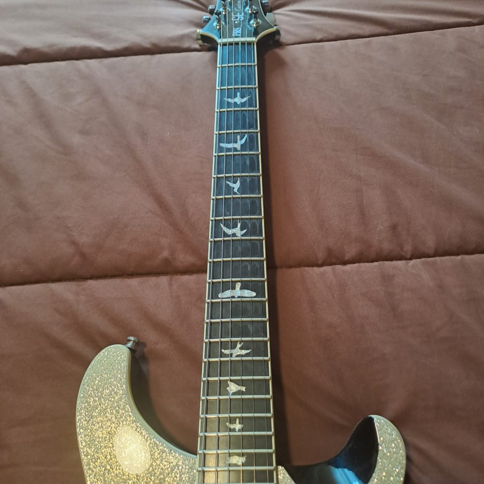 PRS Paul Reed Smith SE LTD. Custom Semi-Hollow Bigsby Silver Sparkle