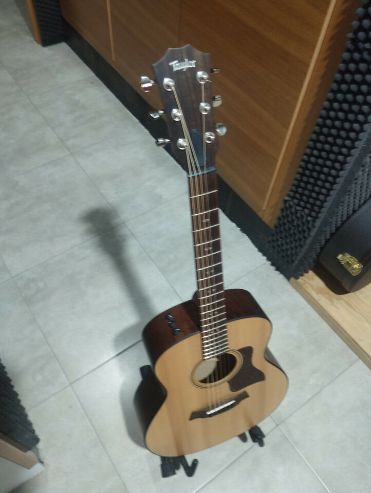 Cambio Taylor gt urban ash.