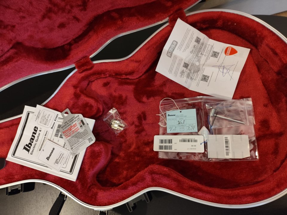 Ibanez JSM100 John Scofield Signature