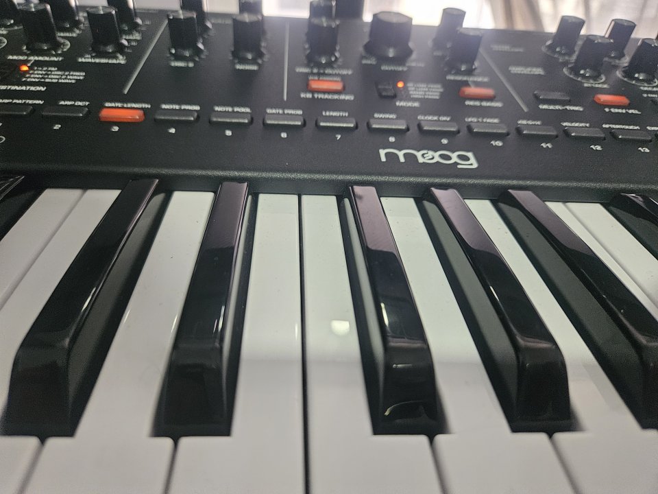Moog Messenger 2026 con factura y caja y garantia de segunda mano · Foto 2 de 5 · Asturias · 500 €