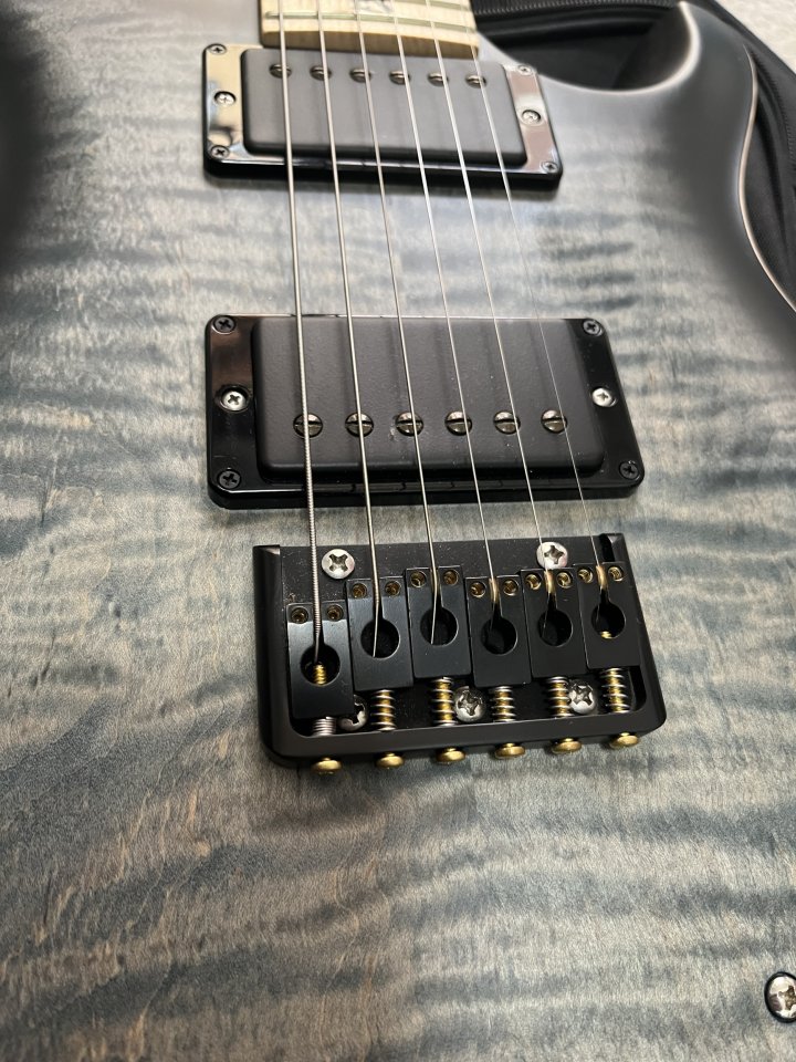 Prs ce DW hardtail limited edition Dustie Waring BTBM USA de segunda mano · Foto 3 de 9 · Valencia · 2800 €