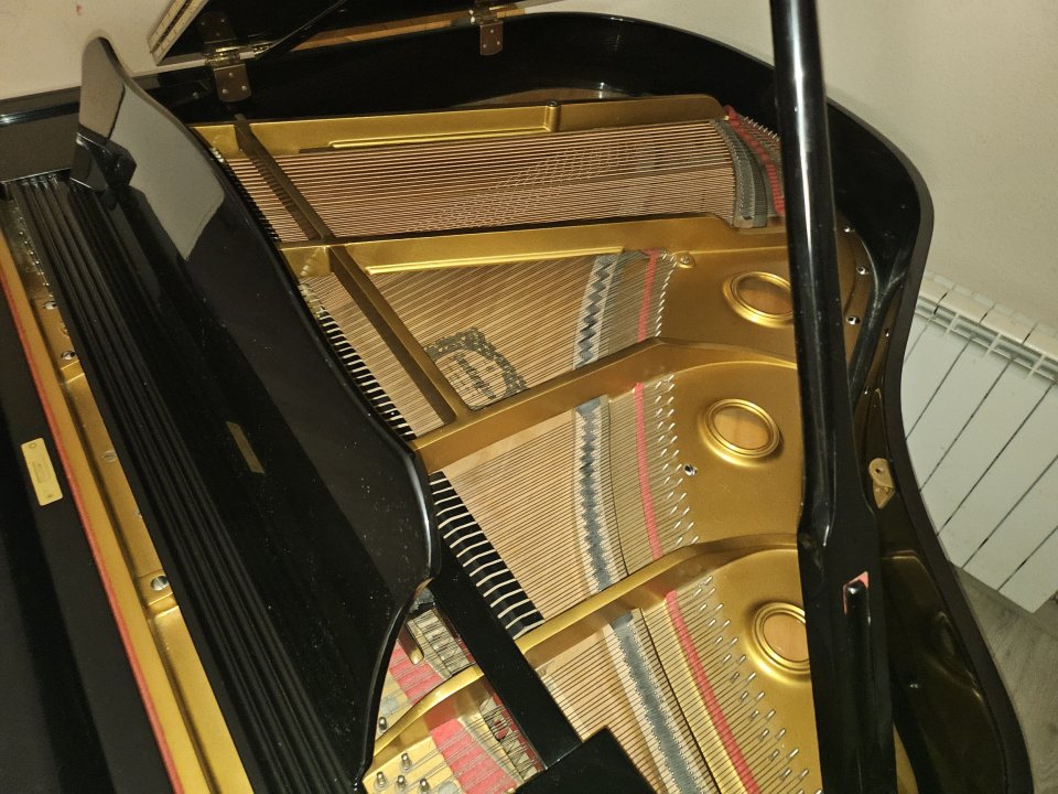 Piano cola Young Chang de segunda mano · Foto 5 de 7 · Toledo · 4800 €