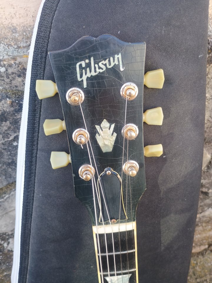 SG luthier/ cambio por telecaster o strato