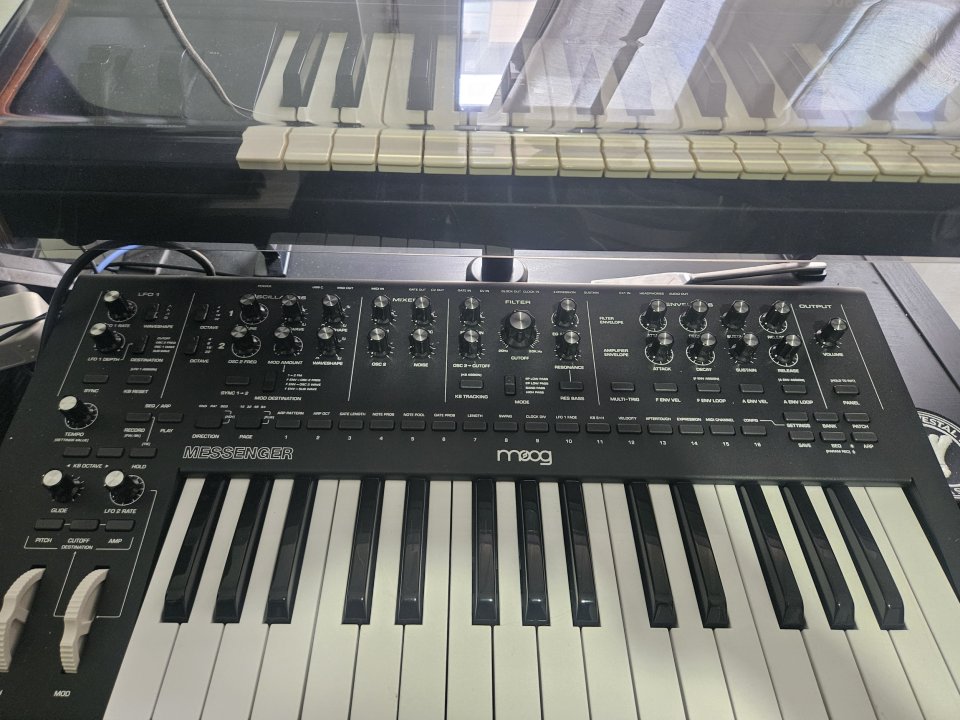 Moog Messenger 2026 con factura y caja y garantia de segunda mano · Foto 4 de 5 · Asturias · 500 €