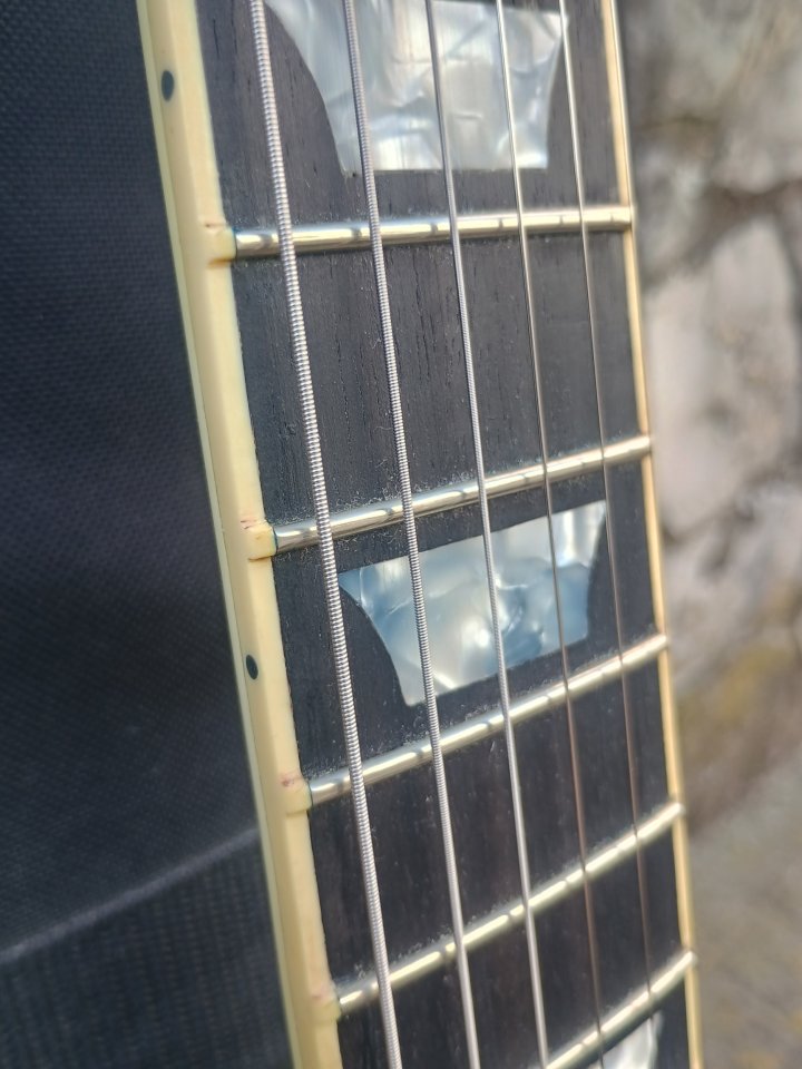 SG luthier/ cambio por telecaster o strato