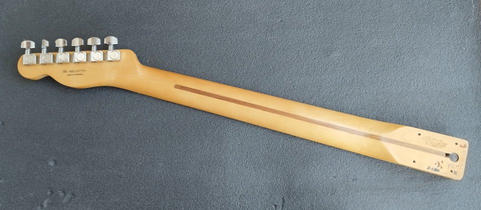 Reservado Mástil Telecaster Player II