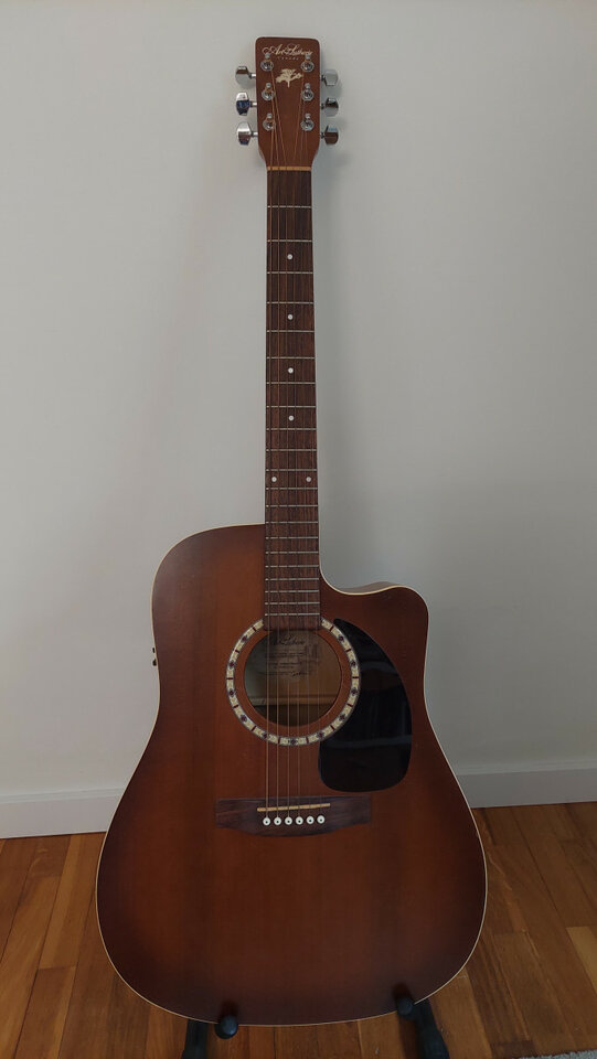 Art & Lutherie CW Cedar Antique Burst QI