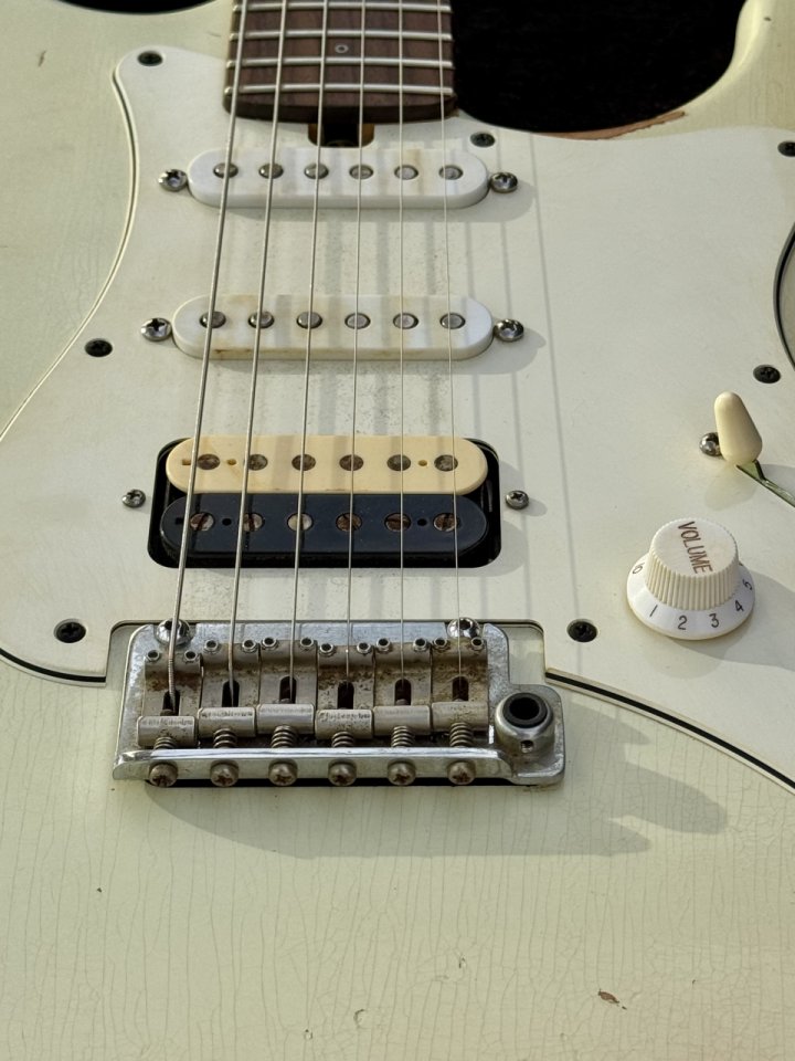 Friedman Vintge S 2020