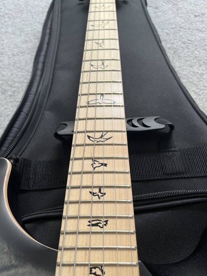 Prs ce DW hardtail limited edition Dustie Waring BTBM USA de segunda mano · Foto 4 de 9 · Valencia · 2800 €