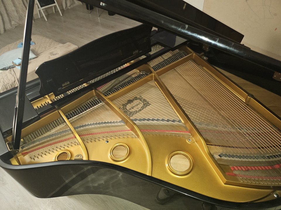 Piano cola Young Chang de segunda mano · Foto 6 de 7 · Toledo · 4800 €