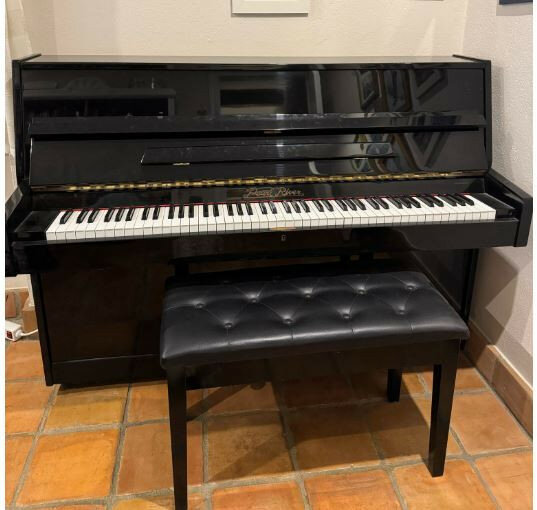 Piano Pearl River acústico