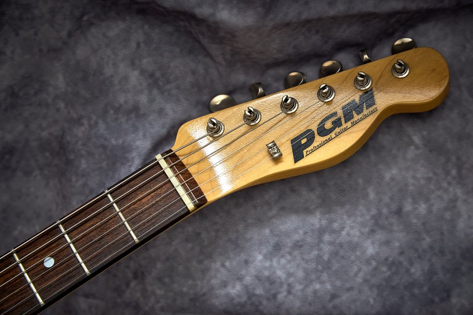 PGM Telecaster Custom Japan de segunda mano · Foto 3 de 8 · Zaragoza · 1675 €