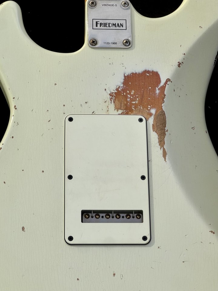 Friedman Vintge S 2020