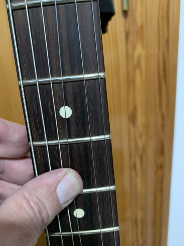 FENDER JAZZMASTER PLAYER II Más Funda