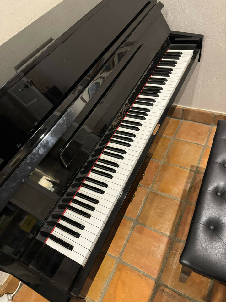 Piano Pearl River acústico de segunda mano · Foto 4 de 4 · Girona · 450 €