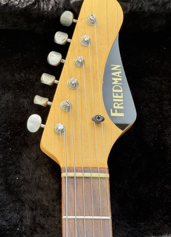 Friedman Vintge S 2020