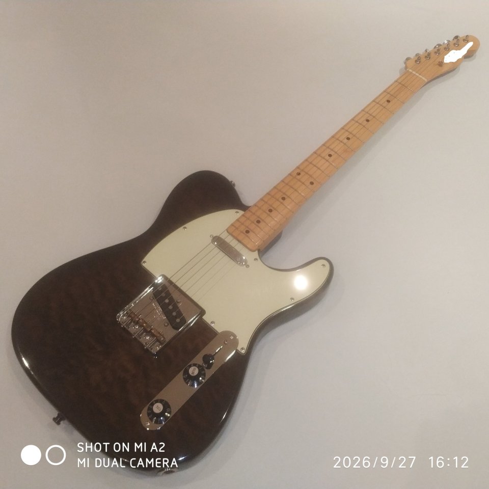 Telecaster de segunda mano · Foto 4 de 5 · Alicante · 750 €