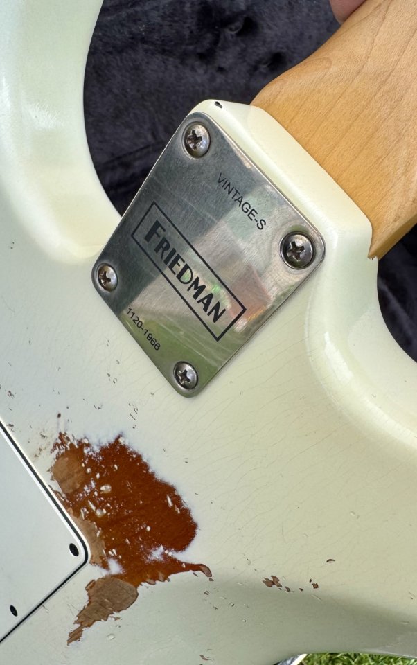 Friedman Vintge S 2020