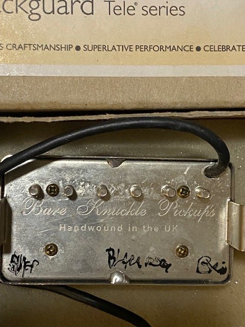 Bare Knuckle Black Dog