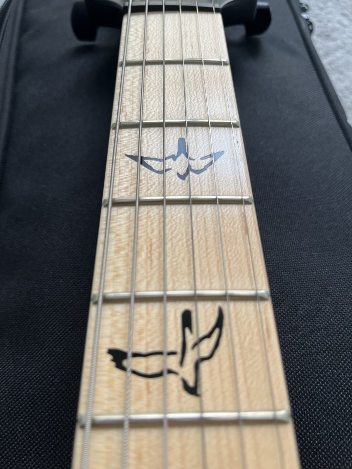 Prs ce DW hardtail limited edition Dustie Waring BTBM USA de segunda mano · Foto 5 de 9 · Valencia · 2800 €