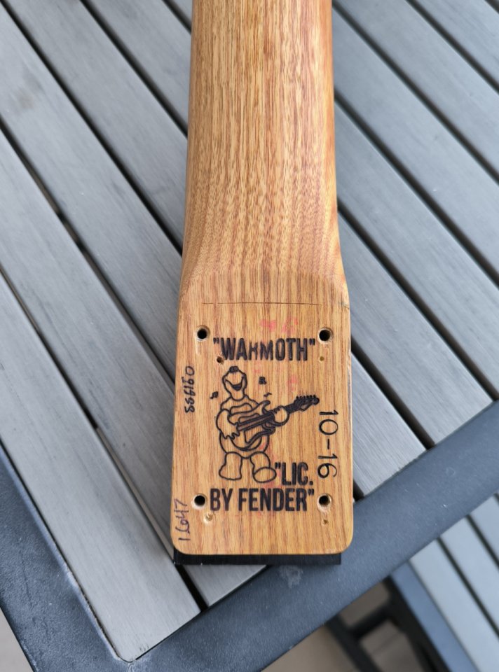 Mástil Warmoth telecaster 24.75" Canary/ebony ¡Envío incluido!